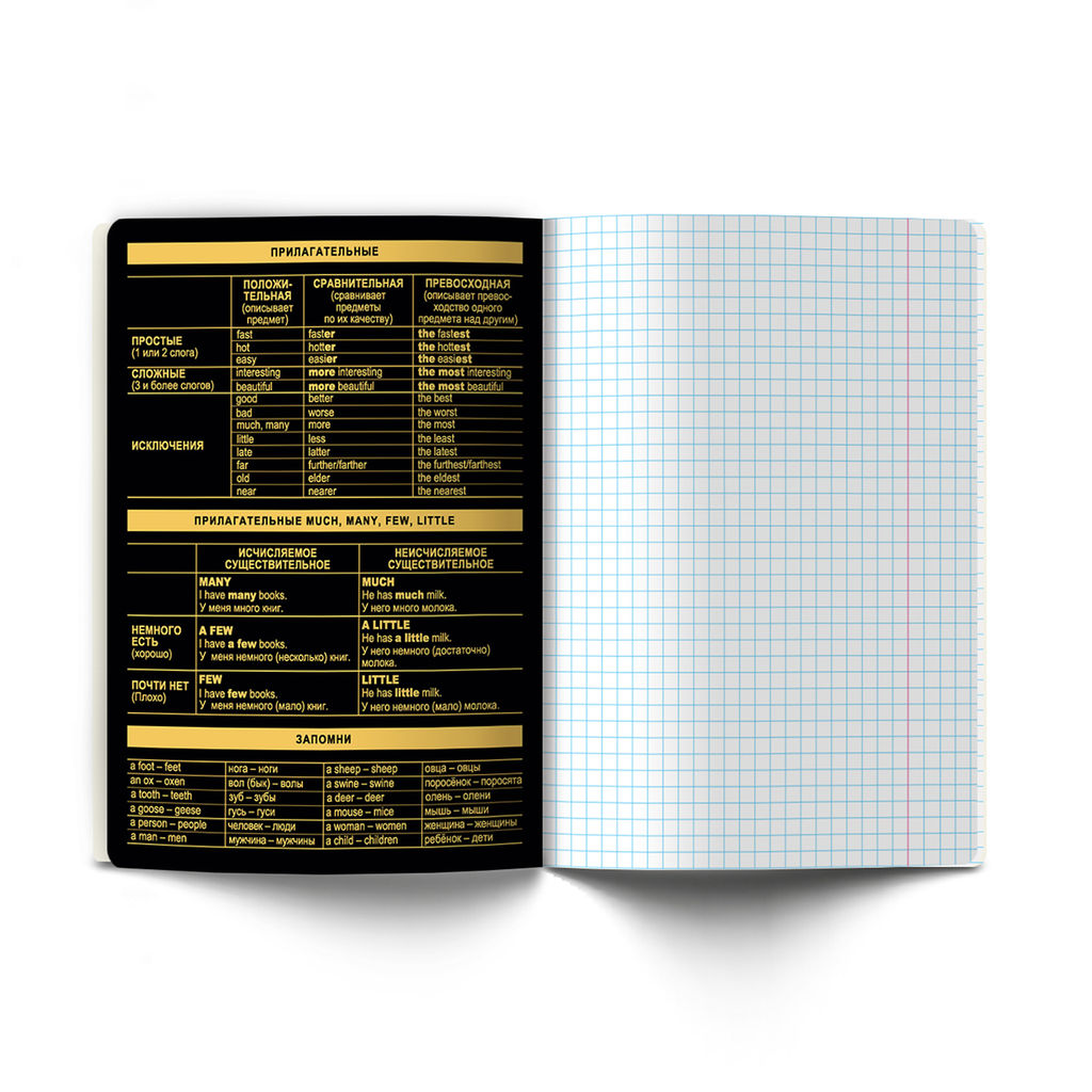 Светоч Т145 Тетрадь со справочным материалом Золотая коллекция, тиснение золотой фольгой, A5 48 л. на скобе 65 г/кв.м , белизна 100 % 10 шт. , клетка 01323 Золотая коллекция Английский язык  фото 5