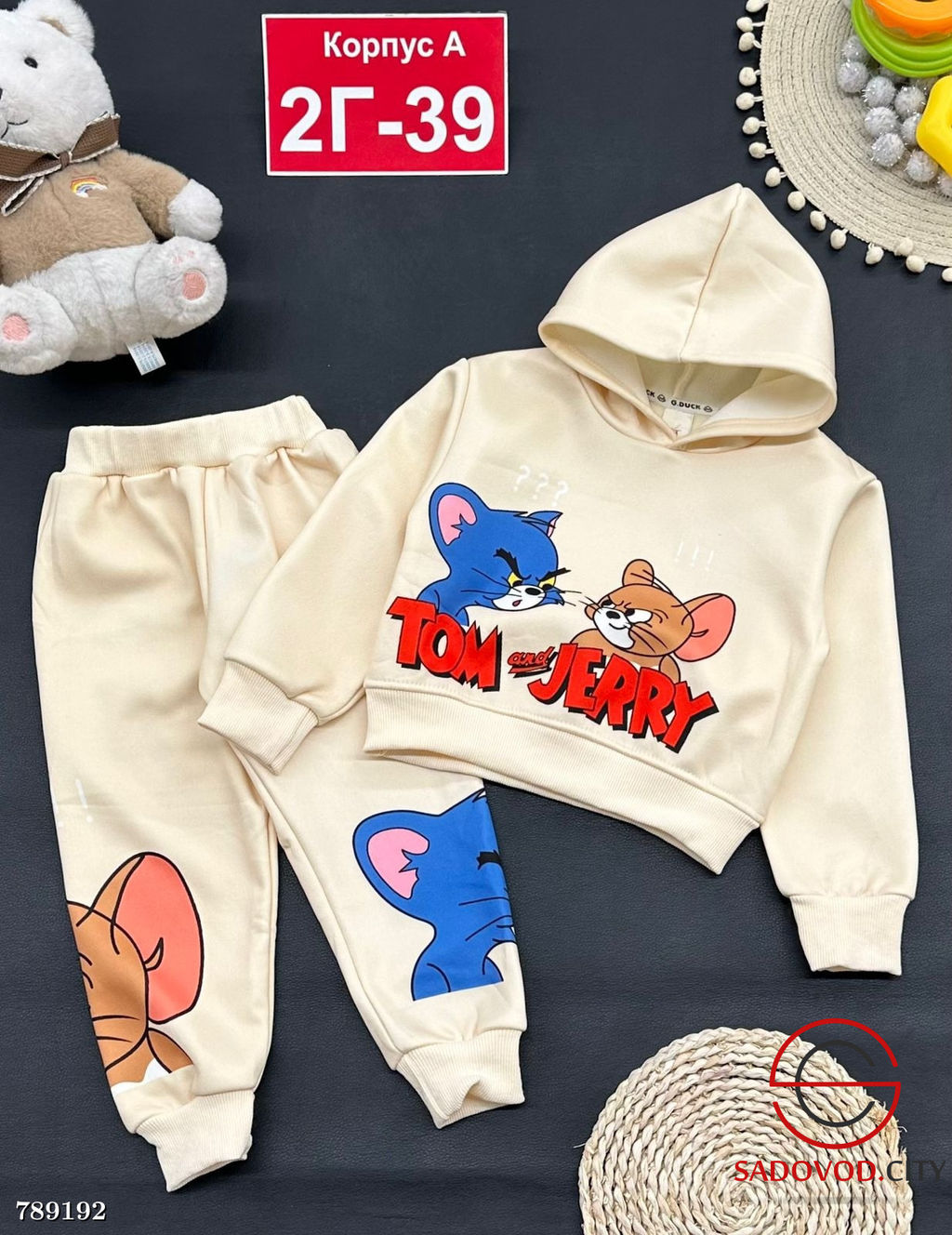 Детский спортивный костюм с начёсом