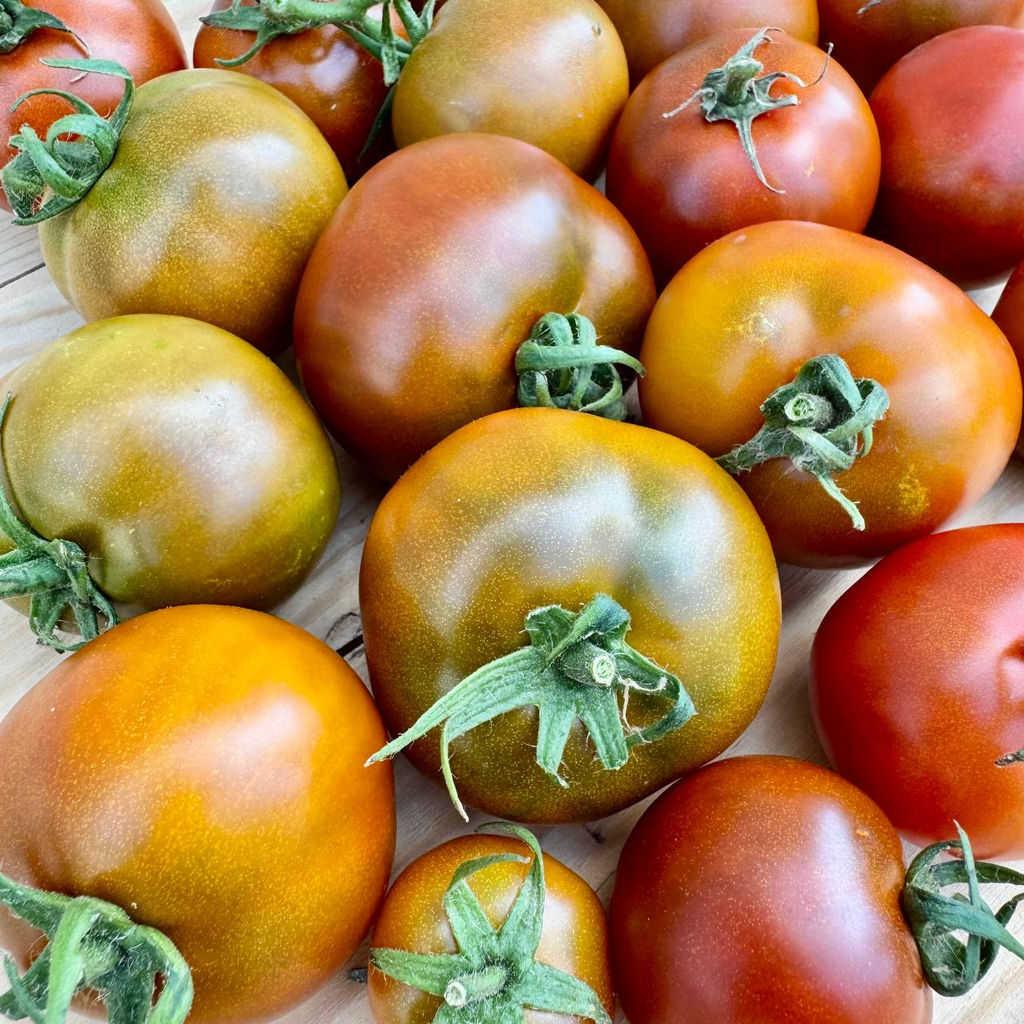 Гном Коричневая лапа кенгуру НОВИНКА 2025 года!