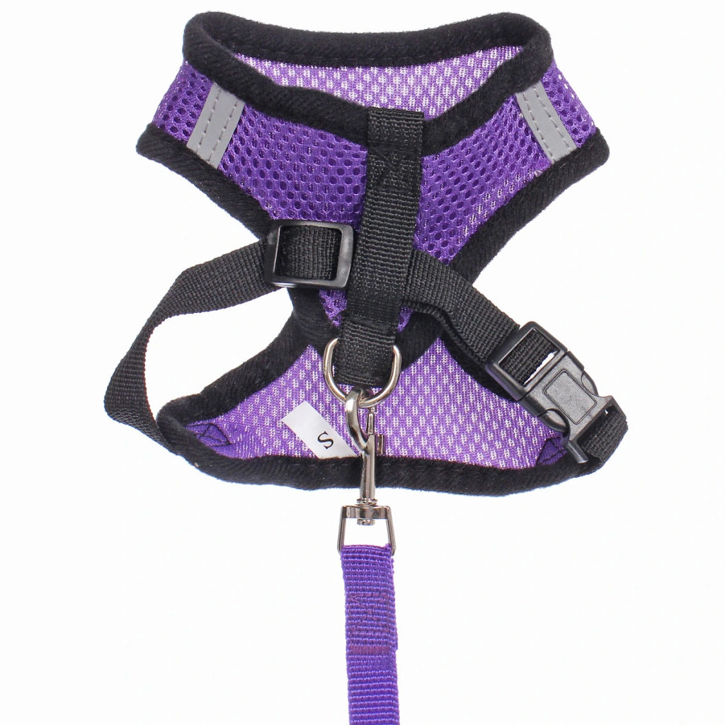 Цена за 2 шт. Шлейка с поводком 118см "Sweet puppy" размер S, цвет фиолетовый