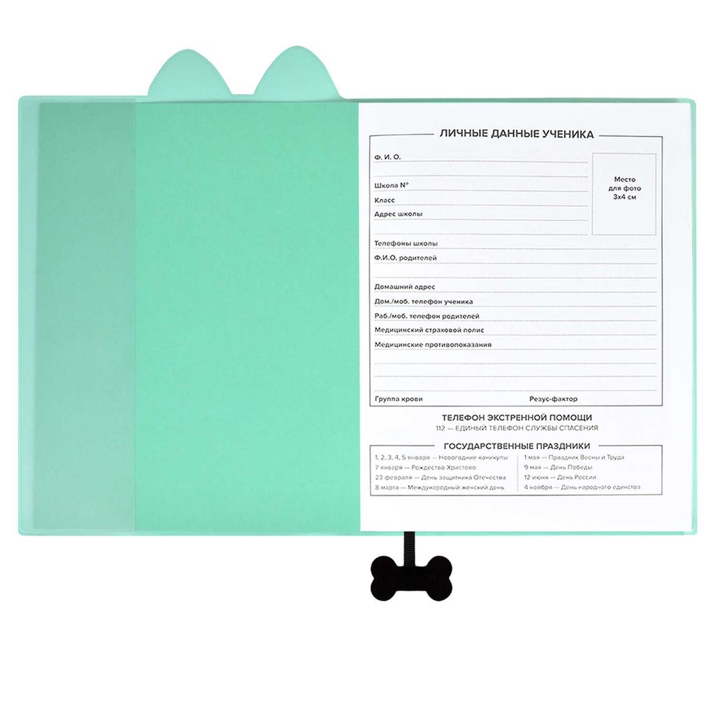 Дневник школьный арт. 58927 / 15 КРЭЙЗИ ПЕС - Феникс+ фото 4