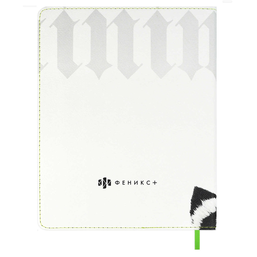 Дневник школьный арт. 68716 / 15 ЕНОТ В ШАПОЧКЕ