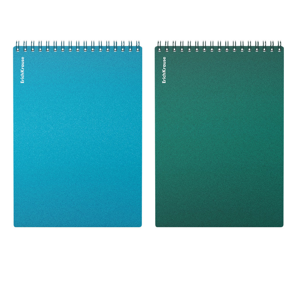 Цена за 2 шт. Блокнот с пластиковой обложкой на спирали ErichKrause Ice Metallic, А5, 80 листов, клетка_MIX-PACK  фото 2