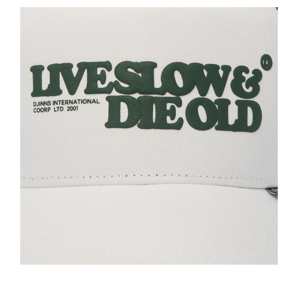 Бейсболка DJINNS арт. HFT LSDO (белый) фото 3