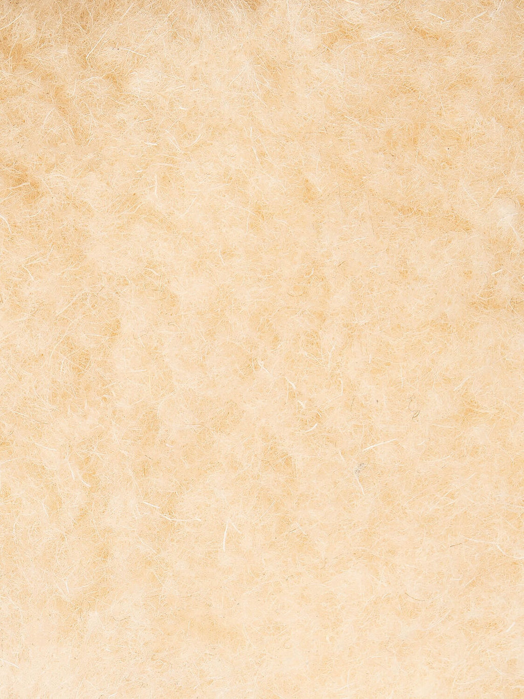 Ботинки - Belwest фото 7