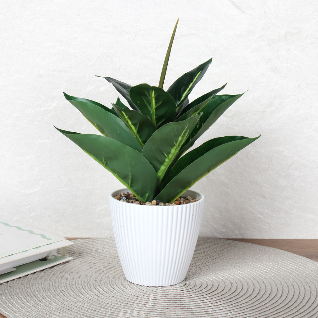 Цветочная композиция Диффенбахия 26 см / 9090-12 /уп 12/96/ - Галеонтрейд фото 20