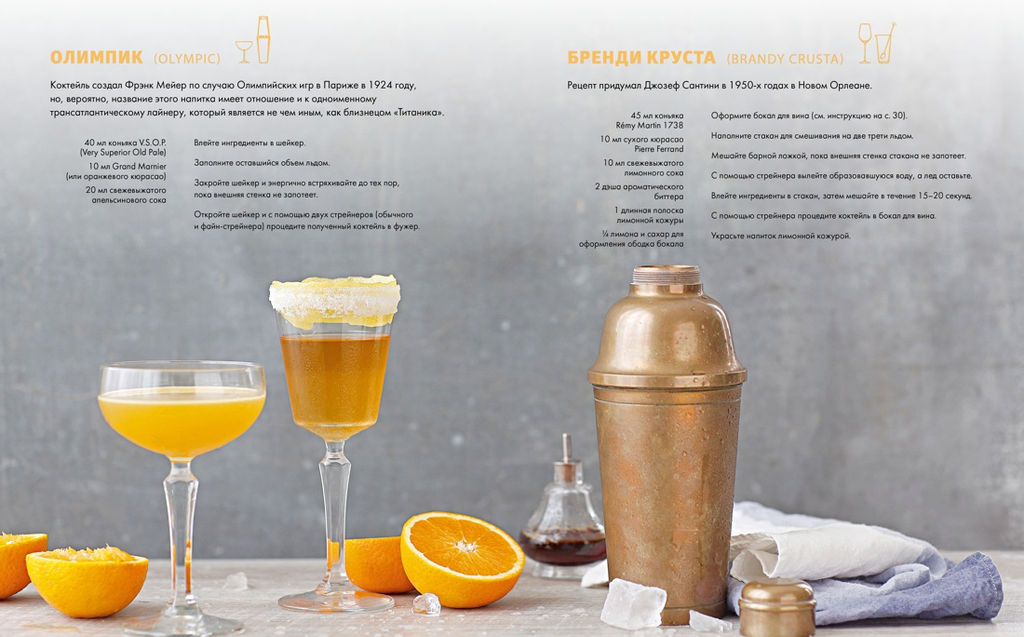 Практическая миксология. Девайсы. Техники. Ингредиенты. Кастеллон Ф. - Колибри фото 6