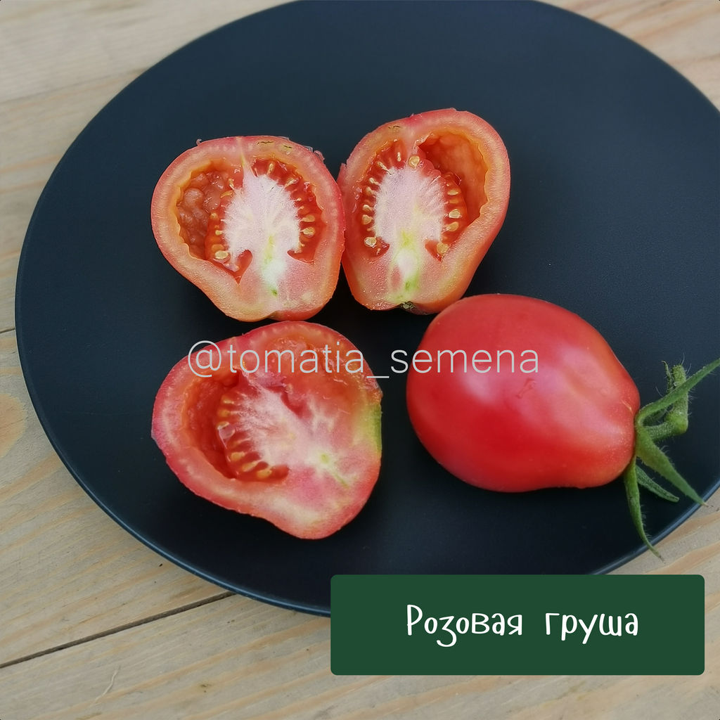 Розовая груша - Tomatia фото 2