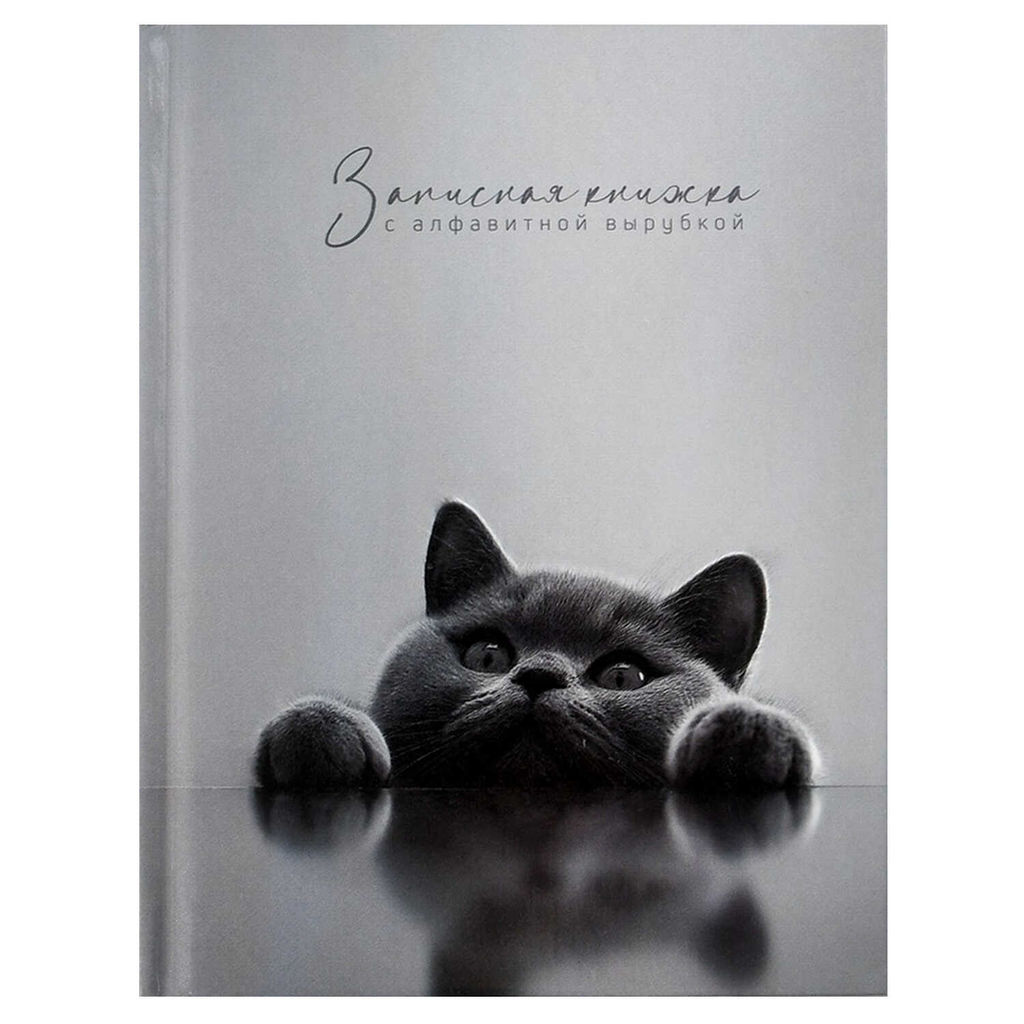 Записная книжка с алфавитной вырубкой арт. 74404 БРИТАНСКИЙ КОТ / 120x150 мм, 80 л., твёрдый переплё