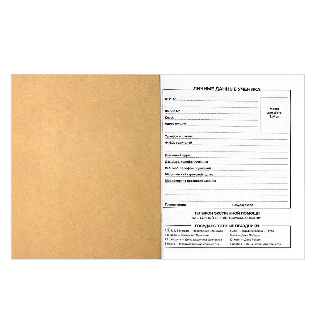 Дневник школьный арт. 60250 ЛЕТНЕЕ НАСТРОЕНИЕ - Феникс+ фото 3