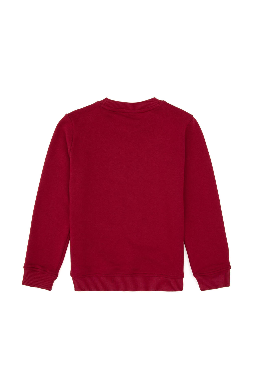 Erkek _ocuk Koyu Frambuaz Bisiklet Yaka Sweatshirt - U.s. polo assn фото 2