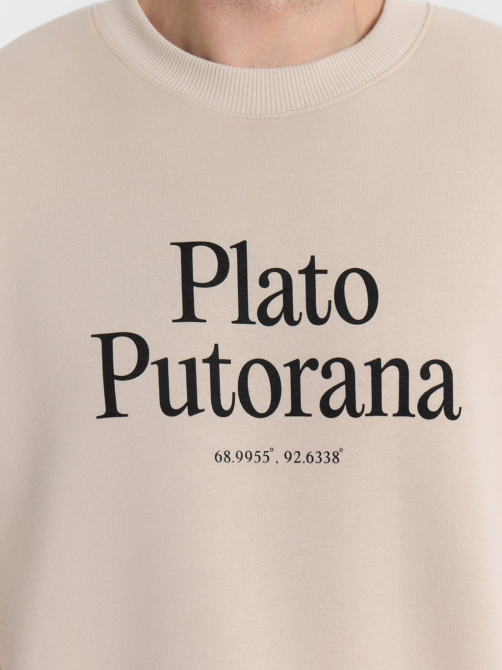 Свитшот мужской бежевый с надписью Plato Putorana - Mark formelle фото 5