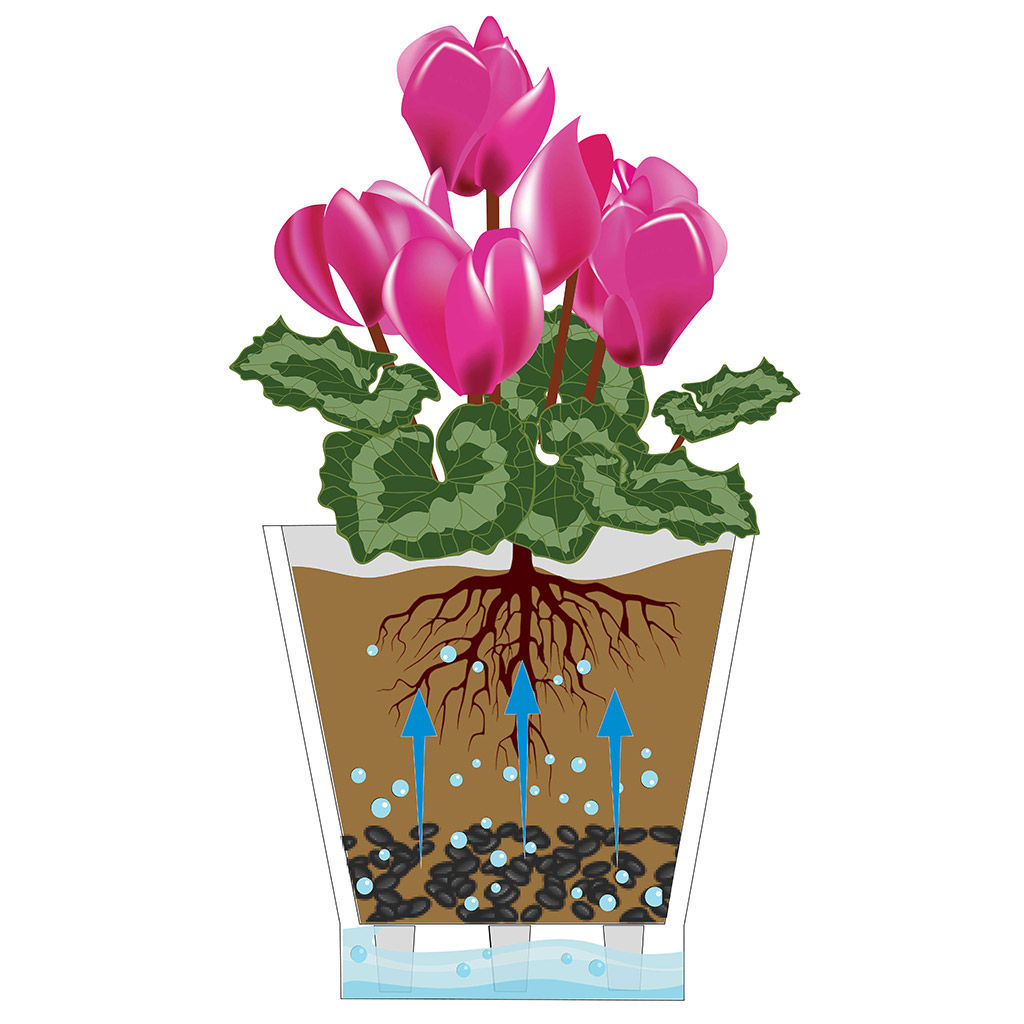 Горшок для орхидеи пластмассовый Лея 2,2л, д16,2см, h16см, с автополивом, прозрачный (Россия) - Домашняя Мода фото 3