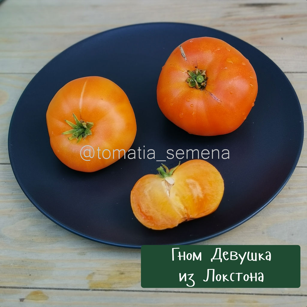 Гном Девушка из Локстона - Tomatia фото 2