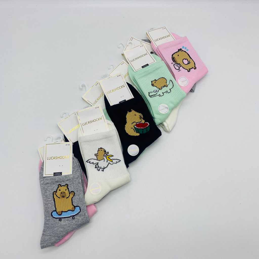 Носки LUCASHOCKN - Капибарский отдых 10 шт в уп (арт. NZC136) - Storyland фото 4