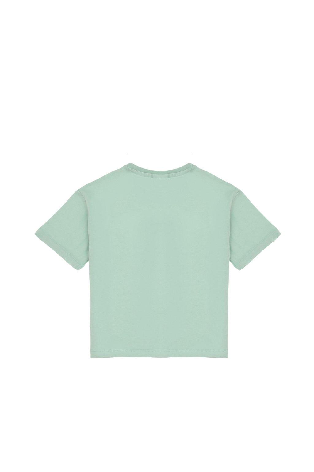 Erkek _ocuk Su Ye_ili Basic Ti__rt Sepette S_rpriz _ndirim - U.s. polo assn фото 2