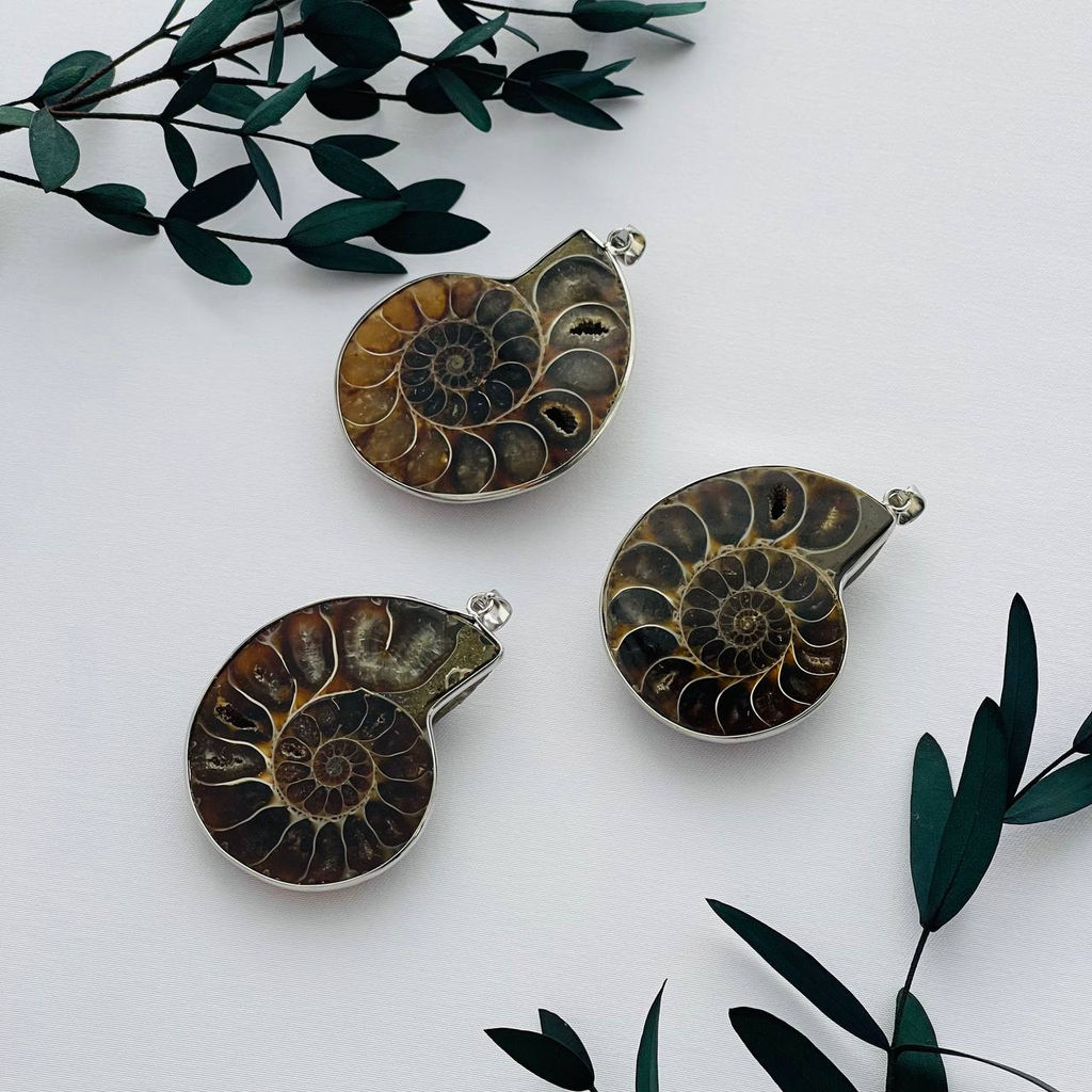 Кулон Аммонит - Радуга самоцветов фото 2