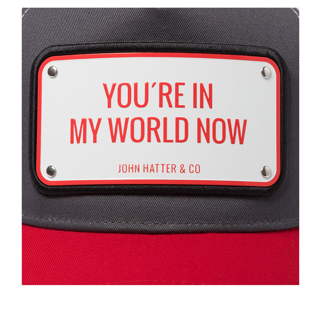 Бейсболка JOHN HATTER арт. 1-1071-U00 You Are In My World Now (серый / красный)  фото 4