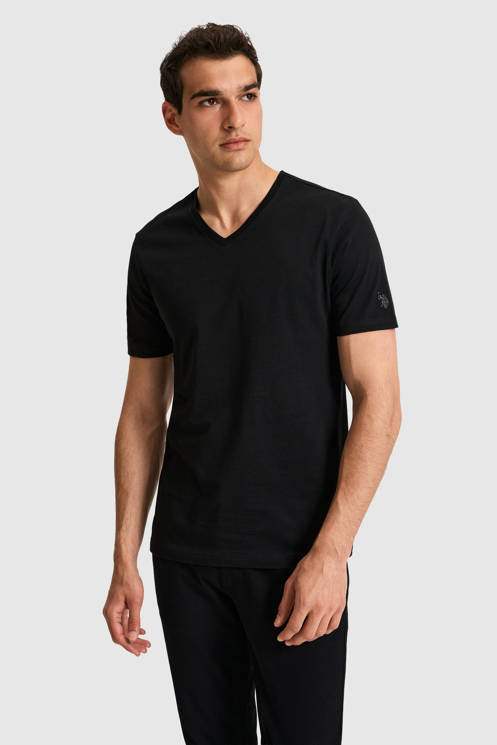 Erkek Regular Fit V Yaka Siyah Basic Ti__rt