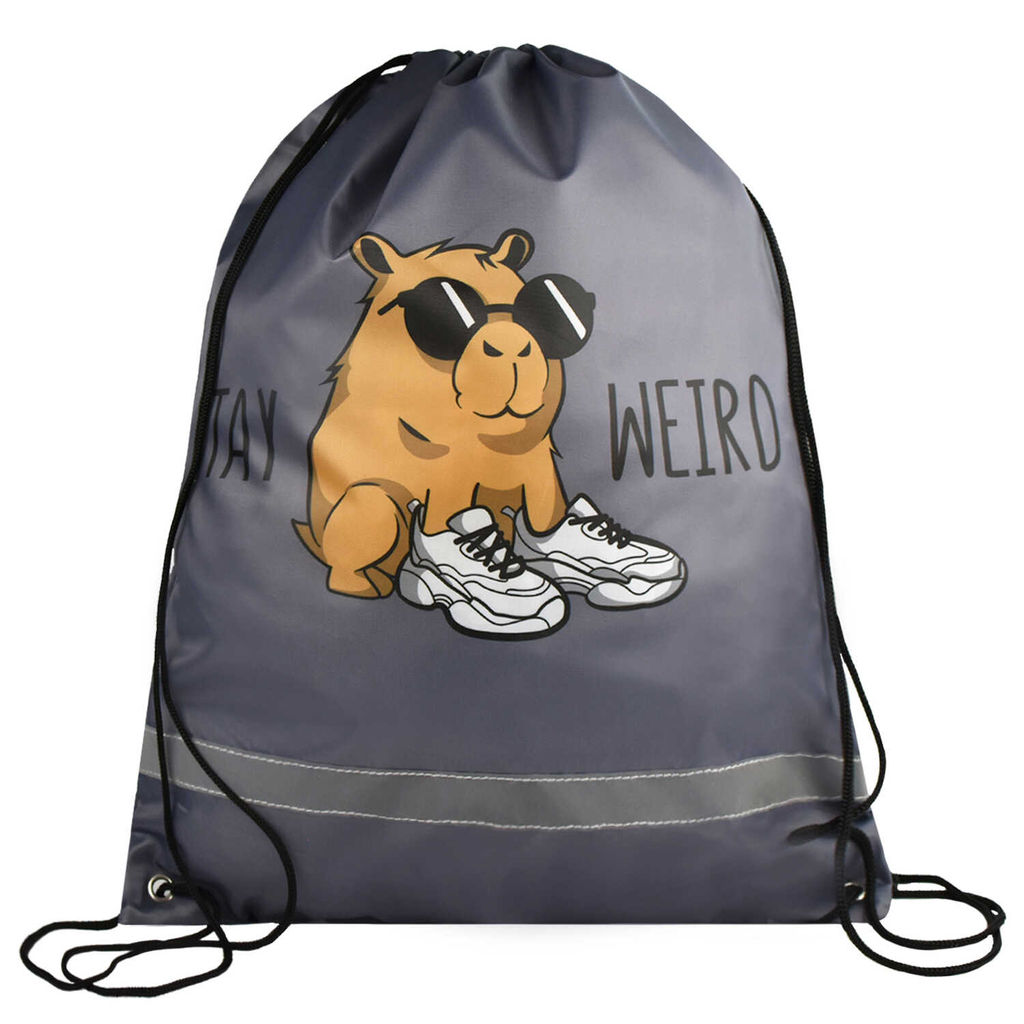 Мешок для сменной обуви Феникс+, арт.69194/ 24 ЧУДНАЯ КАПИБАРА