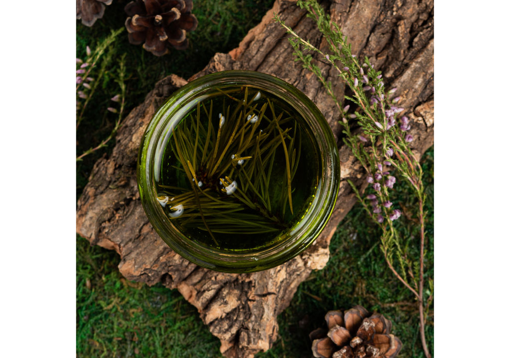 Варенье из Мяты с хвоей баночка 120г