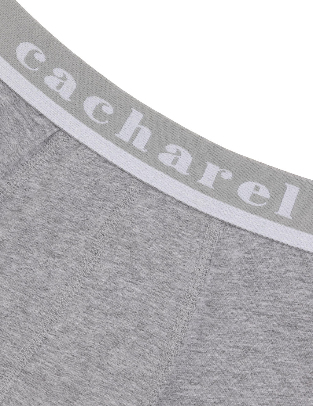 Серые боксеры - Cacharel фото 3