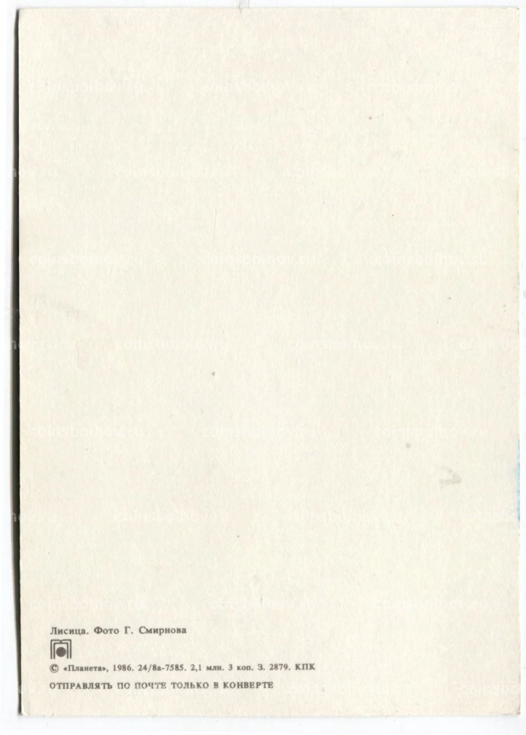 Открытка Лисица