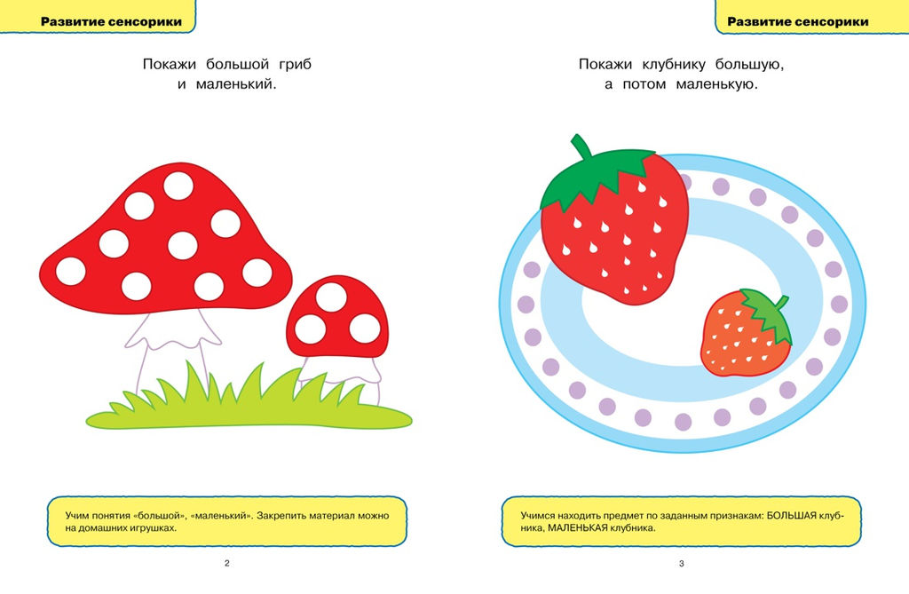 Развивающие тесты (1-2 года). Земцова О.Н.