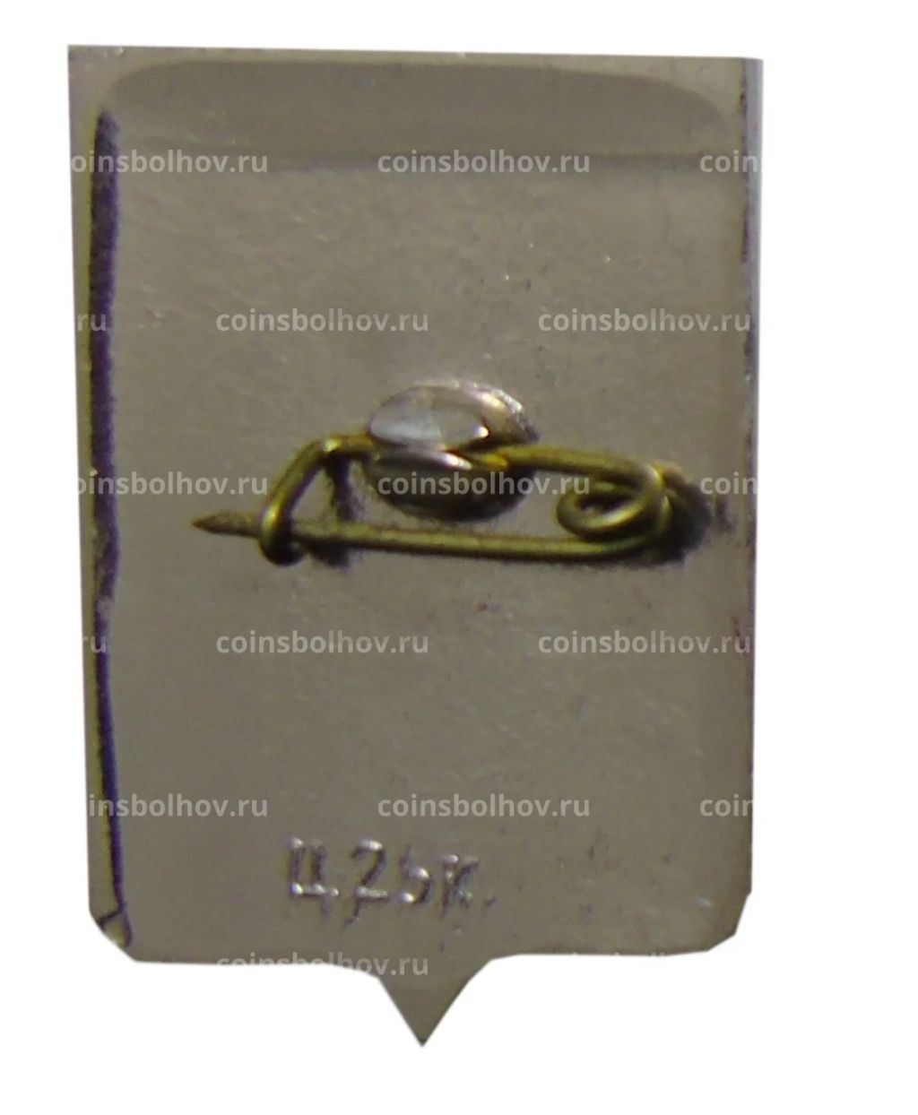 Значок Старая Русса