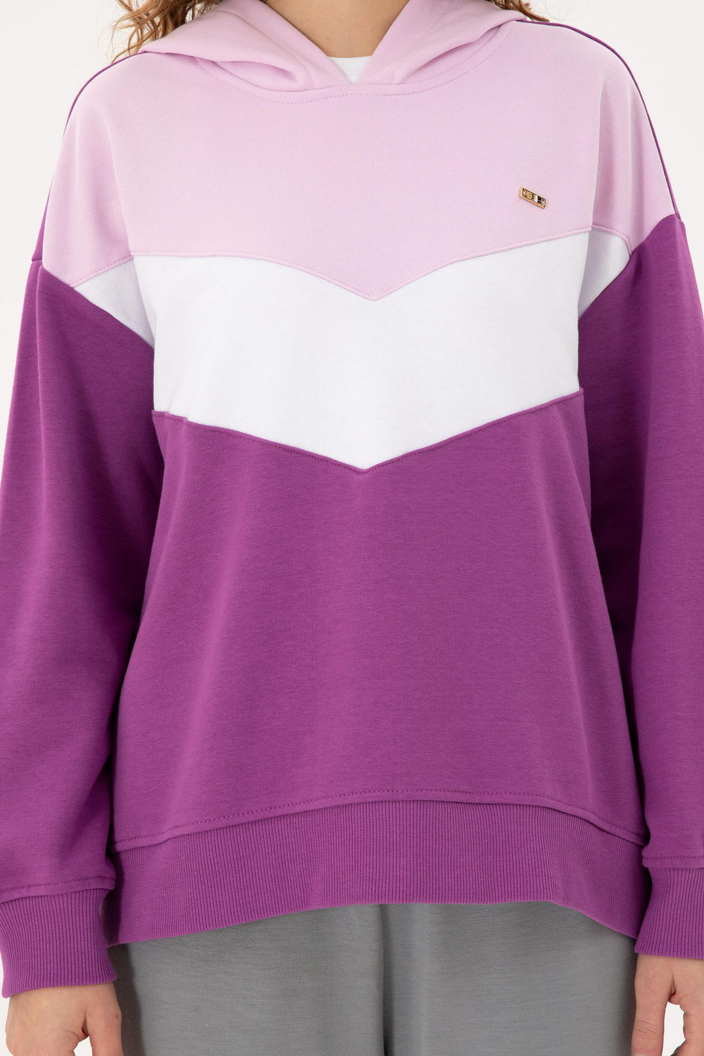 Женский фиолетовый свитшот Неожиданная скидка в корзине - U.s. polo assn фото 6