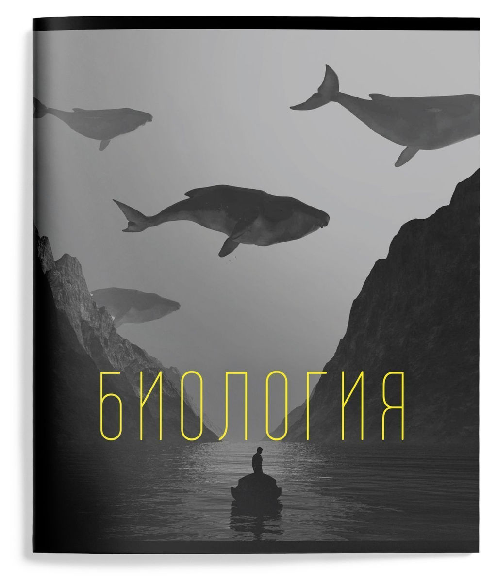 Цена за 2 шт. Тетрадь 48 л. А5 клетка, на скрепке, Schoolformat ЭСТЕТИКА ПРЕДМЕТОВ Биология мелованный к...