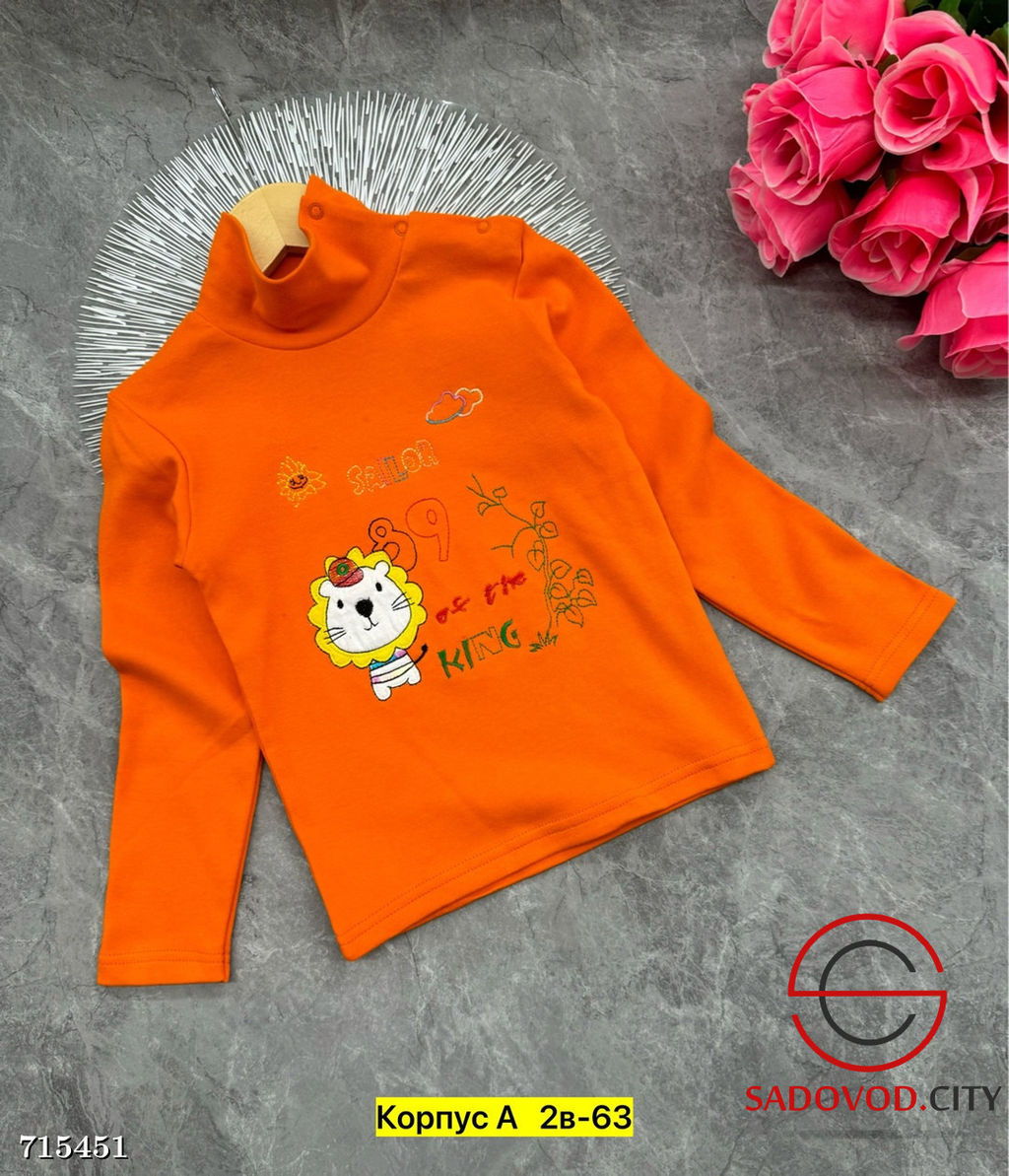 Водолазка детская с принтом - Bruno фото 6