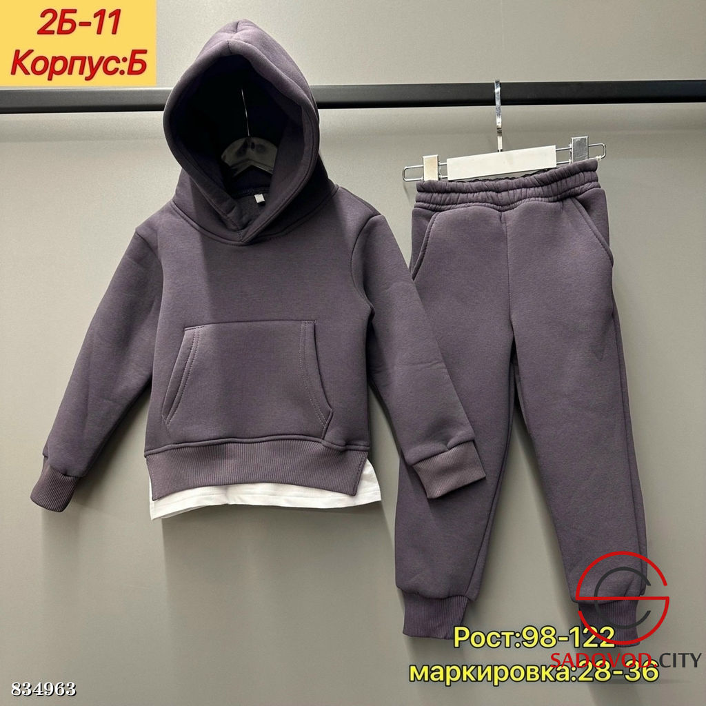 Костюм спортивный с начесом