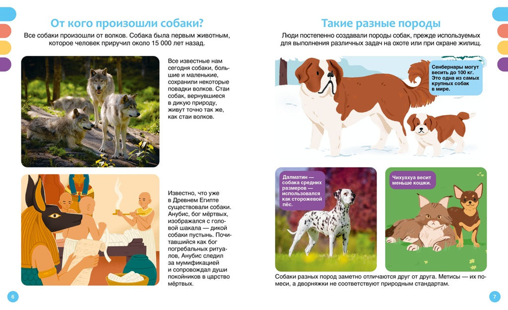 Любимые питомцы. Рени П. - Махаон фото 3