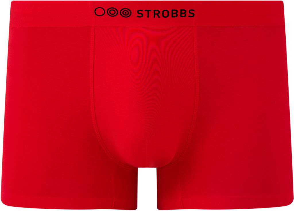 V006-10 трусы мужские