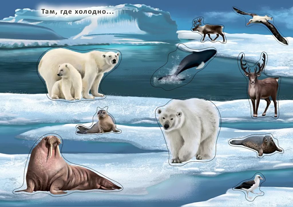 Наклейки с заданиями. Мои первые животные - Робинс фото 4