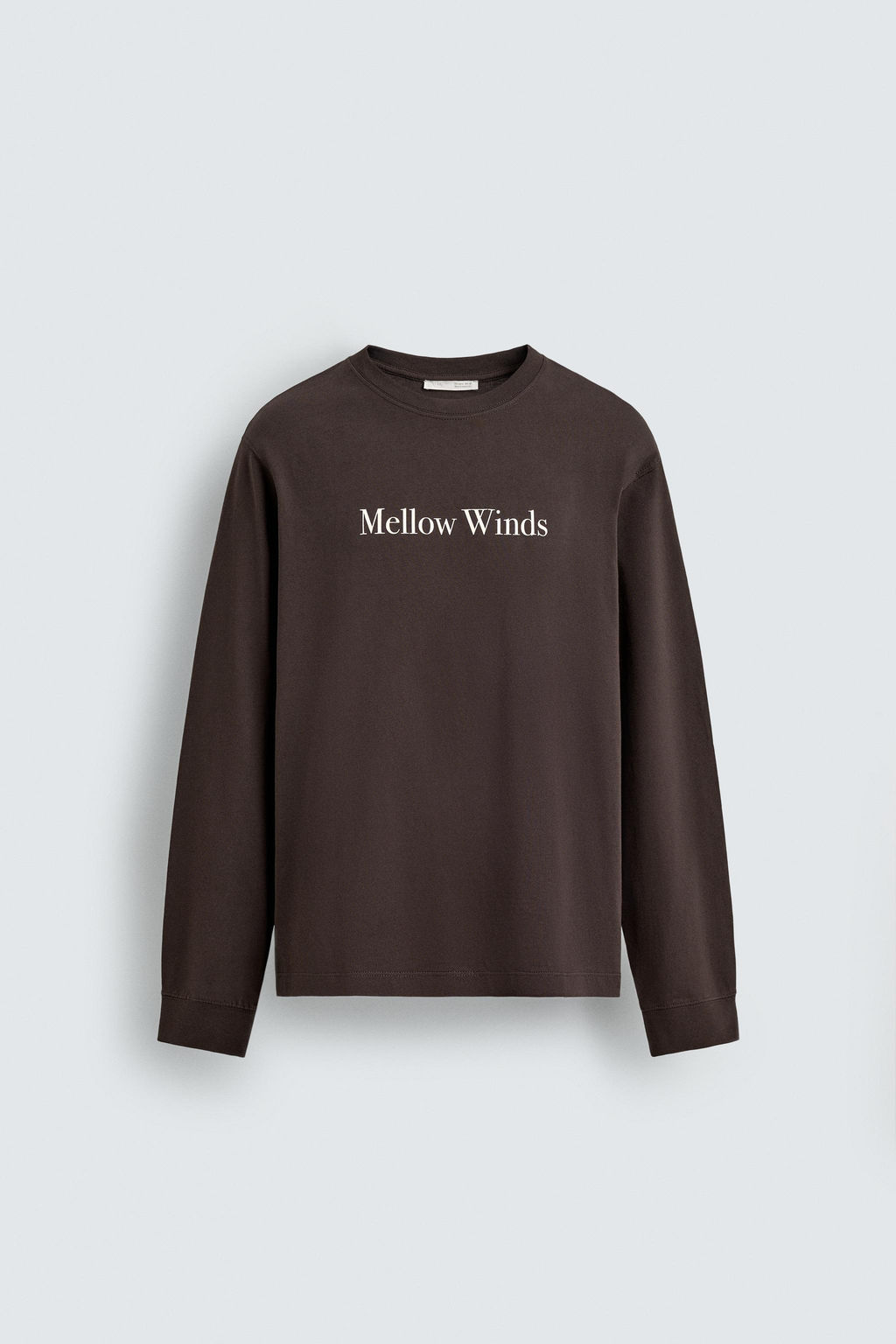 CAMISETA TEXTO ESTAMPADO / Marr?n - Zara фото 6