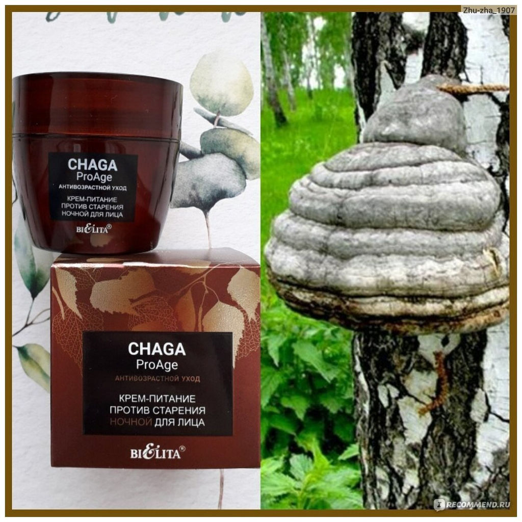 Chaga.ProAge Крем-Питание против старения ночной для лица, 50 мл