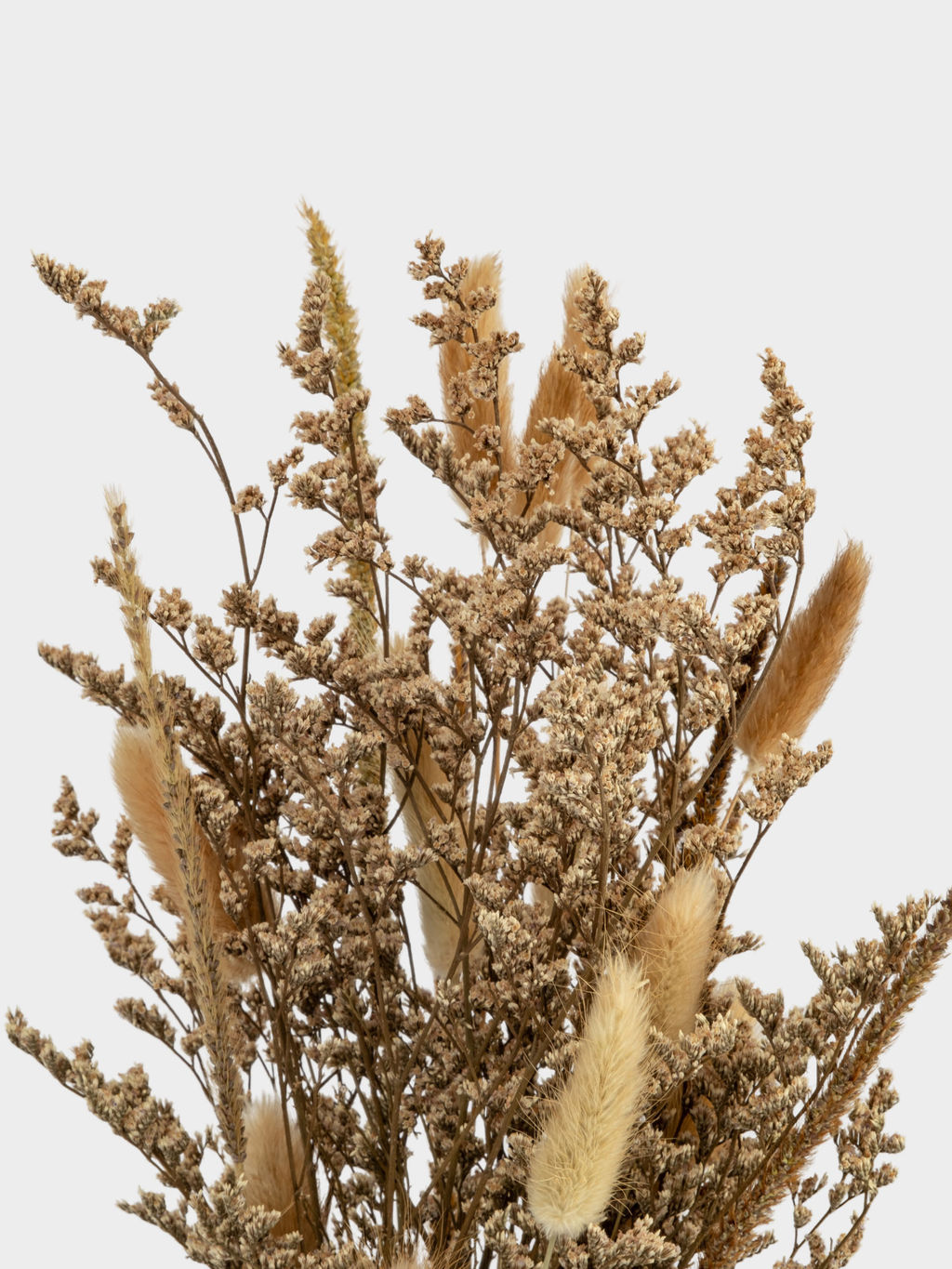 Букет декоративный, 60 см, сухоцветы, Interior spring - Anna lafarg фото 3