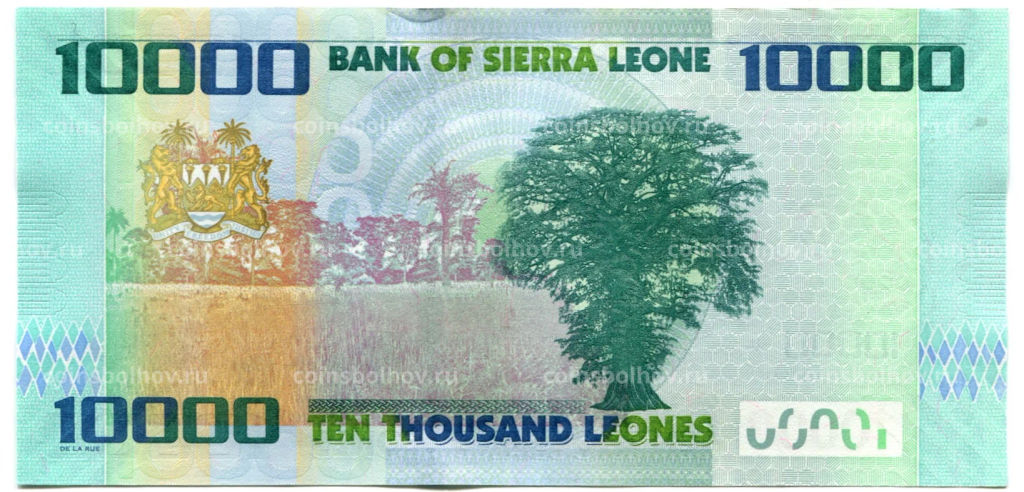 Банкнота 10000 леоне 2021 года Сьерра-Леоне