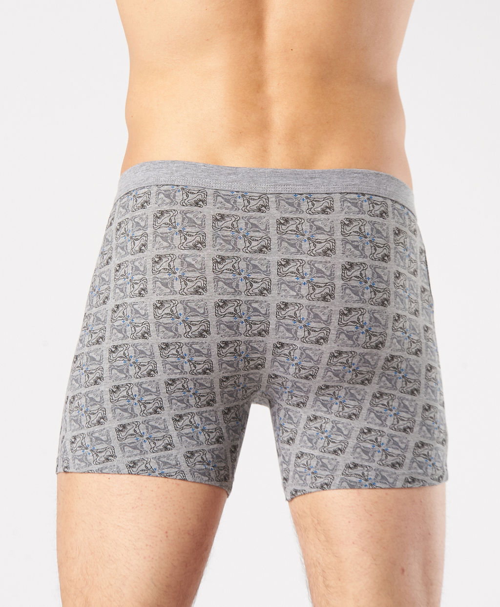 Трусы мужские боксеры Rogers 8702 хлопок, эластан размеры M, L, XL, 2XL фото 4