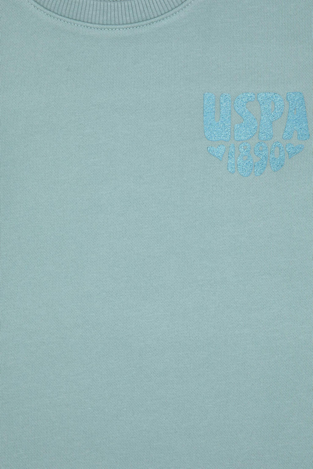 K_z _ocuk Mint Simli Bask_ Detayl_ Bisiklet Yaka Basic Sweatshirt Sepette S_rpriz _ndirim - U.s. polo assn фото 3