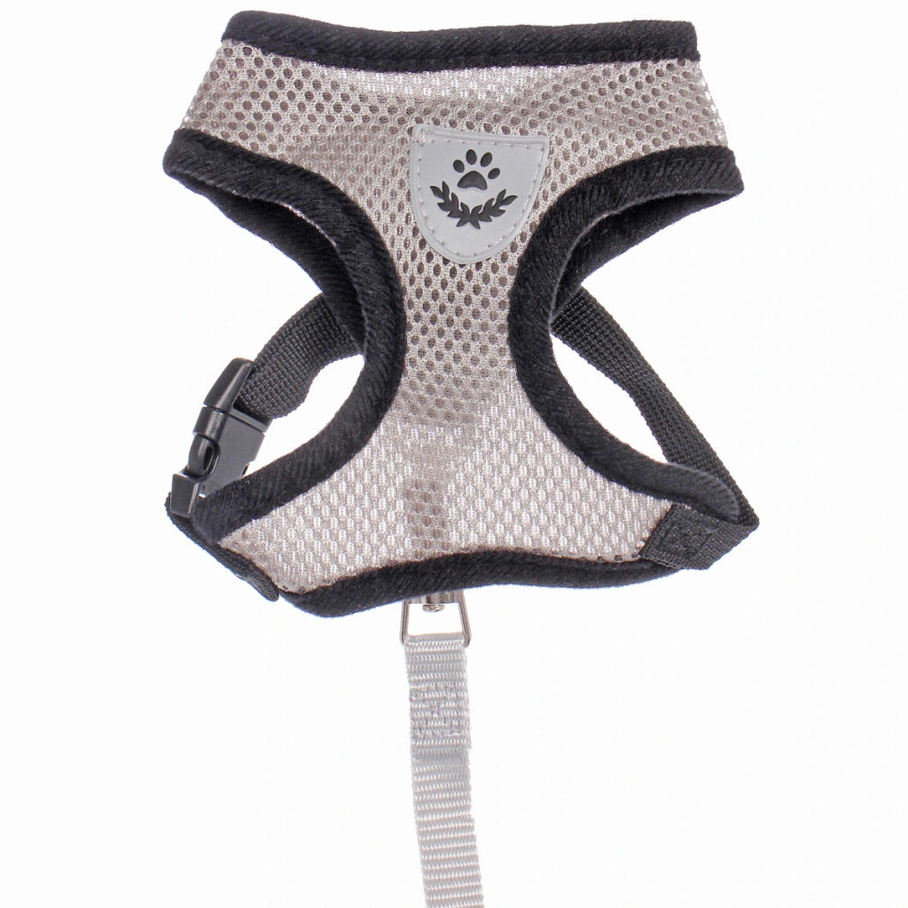 Цена за 2 шт. Шлейка с поводком 118см "Sweet puppy" размер S, цвет серый