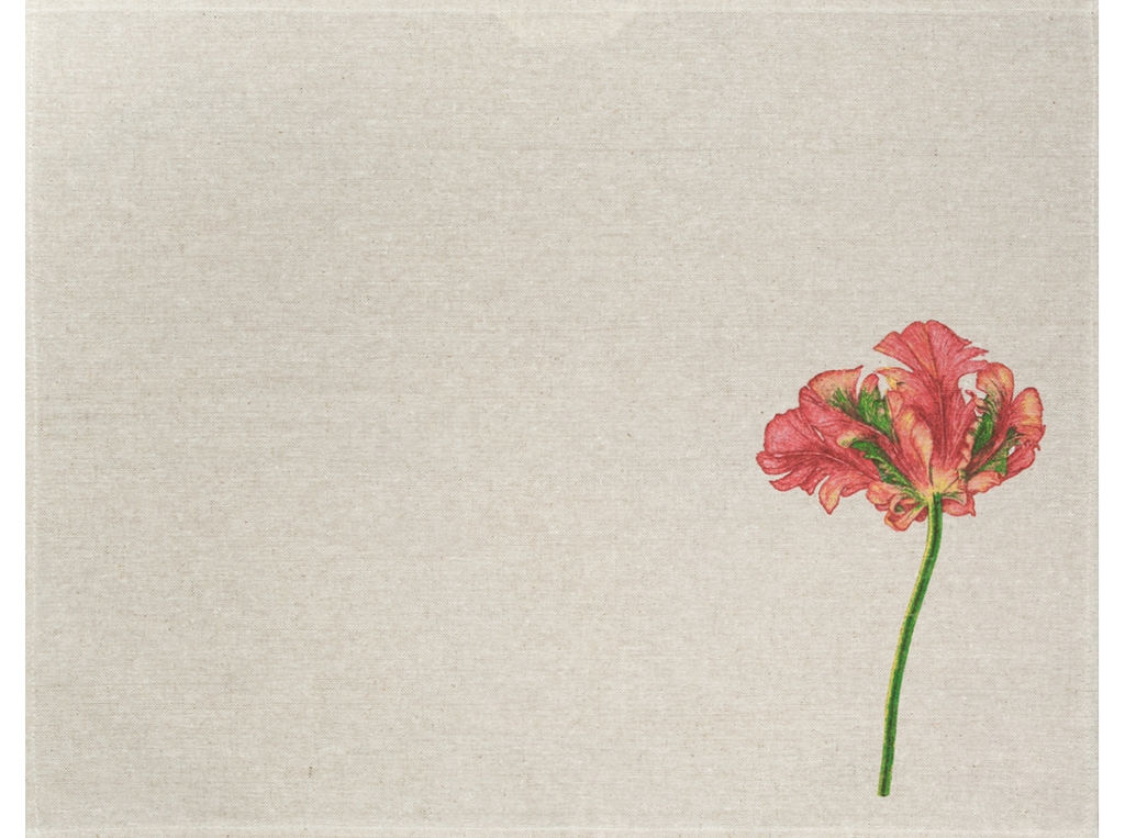 24С27-ШР/р.п/фкор/к. Комплект полотенец из 3 шт 46*60 "Фрэнсис-3" рис. 294