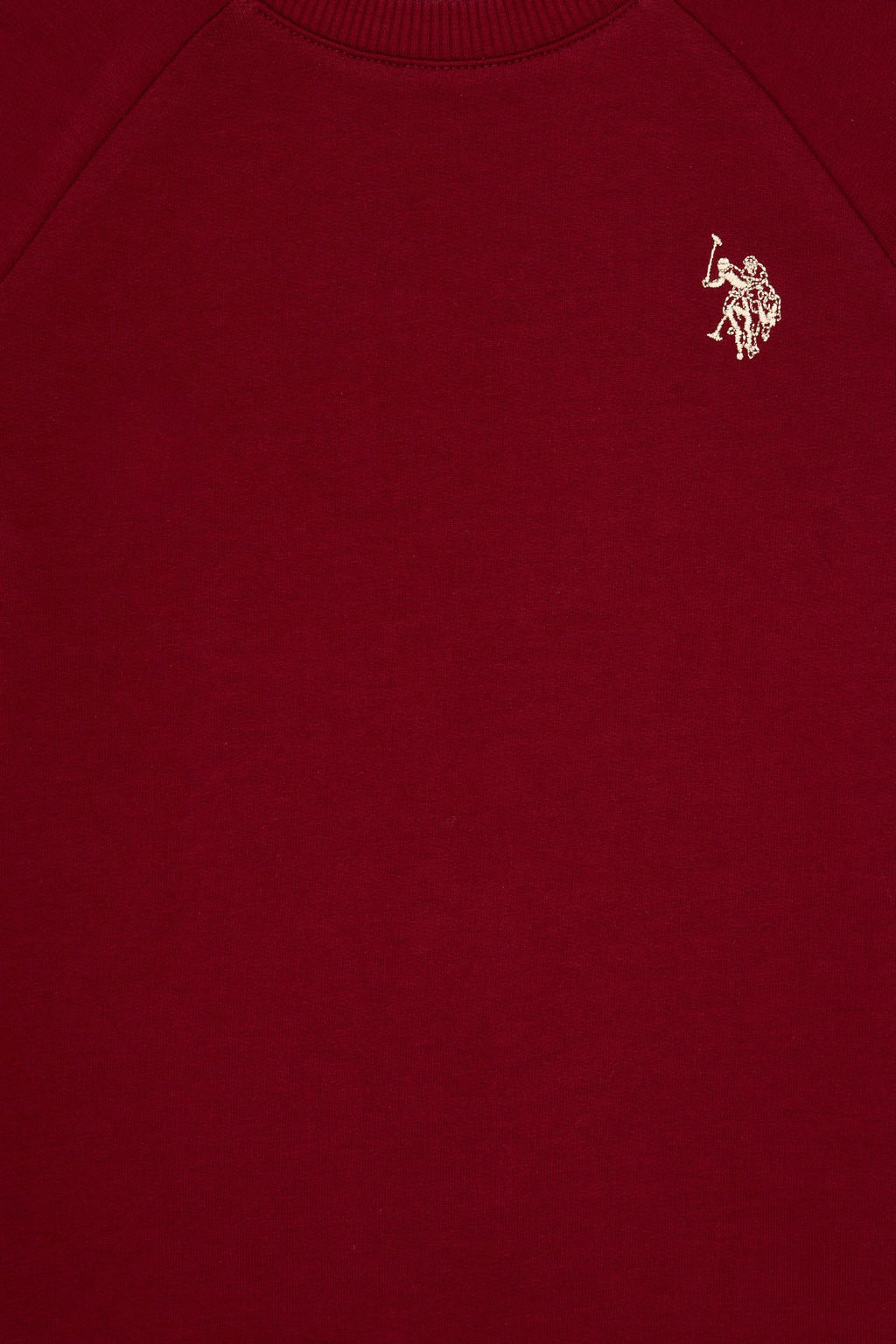 Erkek _ocuk Bordo Basic Sweatshirt Sepette S_rpriz _ndirim - U.s. polo assn фото 3