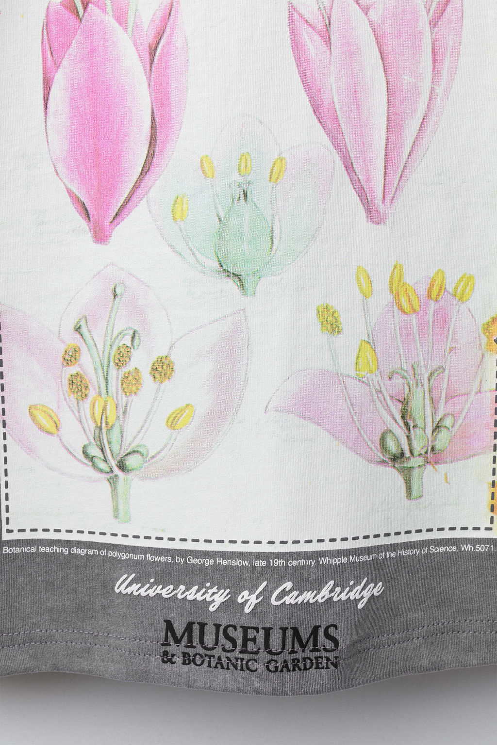 PRINTED T-SHIRT - Zara фото 4