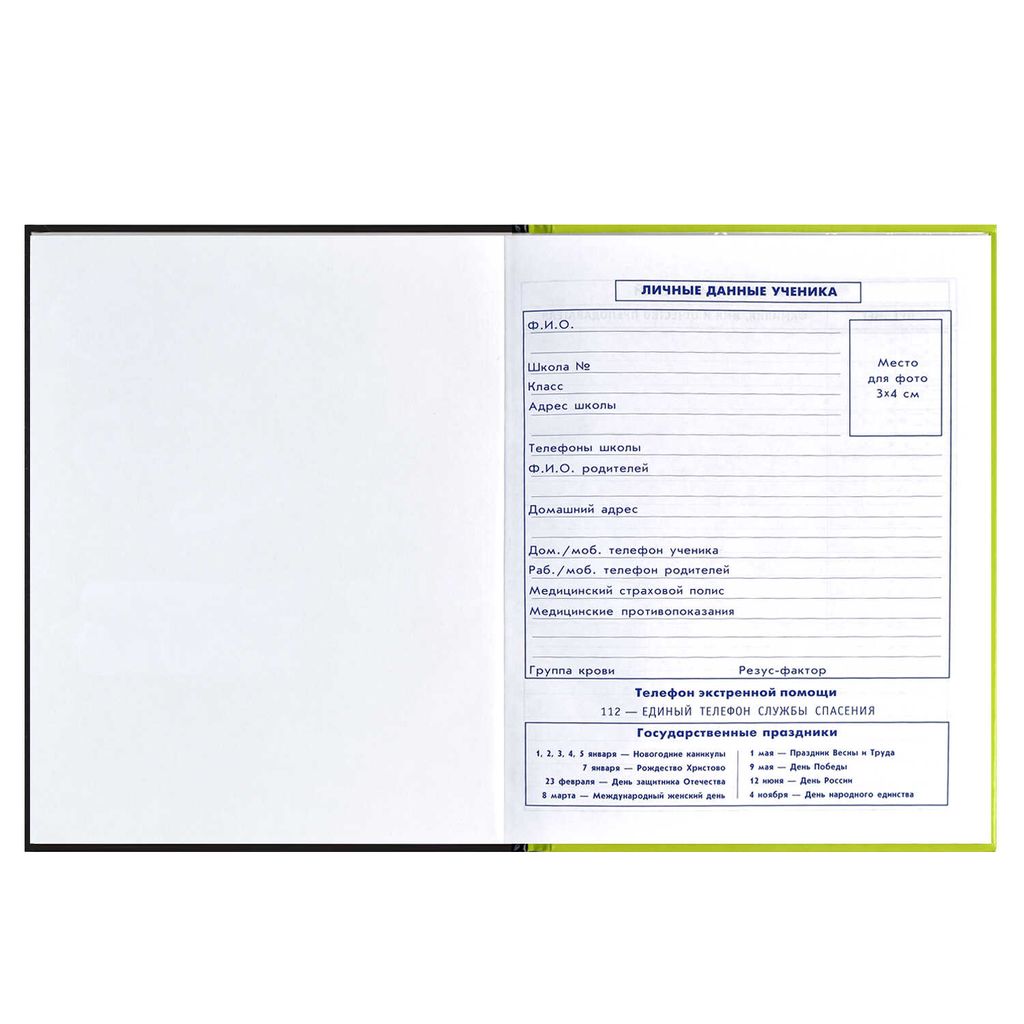 Дневник школьный 5-11 класс арт. 60093 ВЕЧЕРИНКА МУМИЙ - Феникс+ фото 5