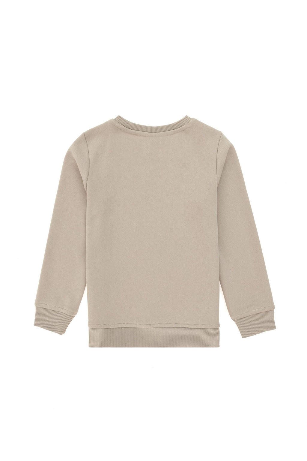 Толстовка с камнем для мальчика Неожиданная скидка в корзине - U.s. polo assn фото 3