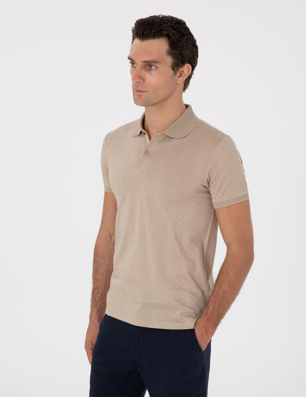 Vizon Slim Fit Desenli Polo Yaka T-shirt