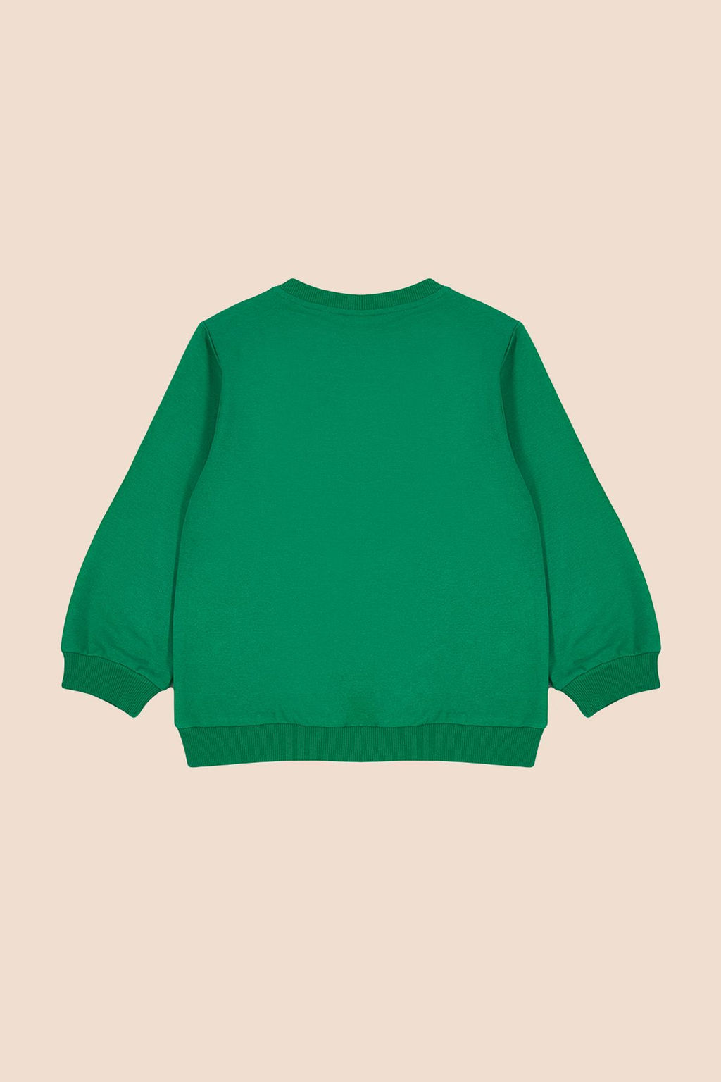 Yesil Unisex Bisiklet Yaka Desenli Orme Sweatshirt TKDAW25SW00005